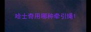 哈士奇用哪种牵引绳
