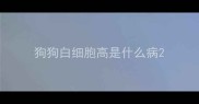狗狗白细胞高是什么病