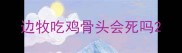 边牧吃鸡骨头会死吗