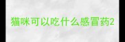 猫咪可以吃什么感冒药