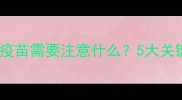 猫拉肚子后接种疫苗需要注意什么5大关键点及应对措施
