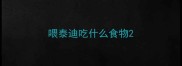 喂泰迪吃什么食物