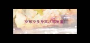 拉布拉多身高从哪里量