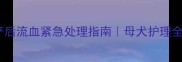 金毛产后流血紧急处理指南母犬护理全攻略