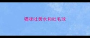 猫咪吐黄水和吐毛球