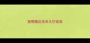 宠物猫应该多久打疫苗