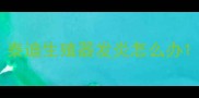 泰迪生殖器发炎怎么办