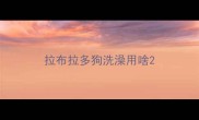 拉布拉多狗洗澡用啥