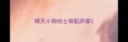 晴天小狗哈士奇配萨摩