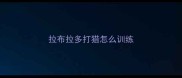 拉布拉多打猎怎么训练
