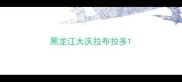 黑龙江大庆拉布拉多