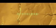 两个半月哈士奇体重