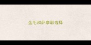 金毛和萨摩耶选择