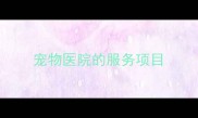 宠物医院的服务项目