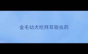 金毛幼犬吃拜耳驱虫药