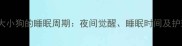 两个月大小狗的睡眠周期夜间觉醒睡眠时间及护理指南