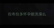 拉布拉多怀孕能洗澡么