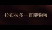 拉布拉多一直喂狗粮