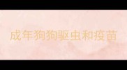 成年狗狗驱虫和疫苗