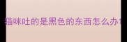 猫咪吐的是黑色的东西怎么办