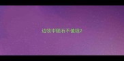 边牧中陨石不值钱