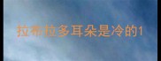 拉布拉多耳朵是冷的