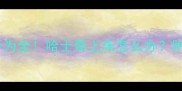 哈士奇上床行为全哈士奇上床怎么办附养护指南