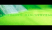 哈士奇单眼变黑警惕常见症状与家庭护理指南