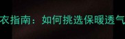 拉布拉多幼犬科学选衣指南如何挑选保暖透气防走失的幼犬服装