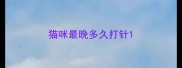 猫咪最晚多久打针