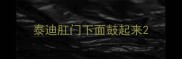 泰迪肛门下面鼓起来