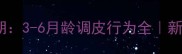 金毛幼犬最淘气期3-6月龄调皮行为全新手必看养宠指南