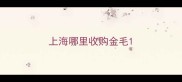 上海哪里收购金毛
