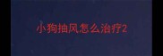 小狗抽风怎么治疗