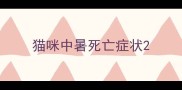 猫咪中暑死亡症状
