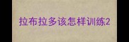 拉布拉多该怎样训练