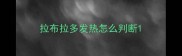 拉布拉多发热怎么判断