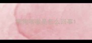 狗狗咳嗽是怎么回事