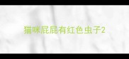 猫咪屁屁有红色虫子
