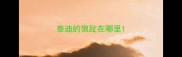 泰迪的狼趾在哪里