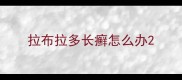 拉布拉多长癣怎么办