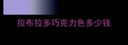 拉布拉多巧克力色多少钱