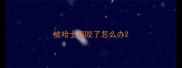 被哈士奇咬了怎么办
