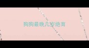 狗狗最晚几岁绝育