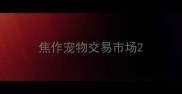 焦作宠物交易市场