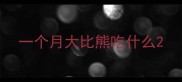 一个月大比熊吃什么