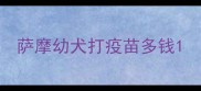 萨摩幼犬打疫苗多钱