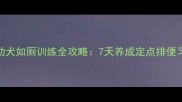 边境牧羊犬幼犬如厕训练全攻略7天养成定点排便习惯的5步法