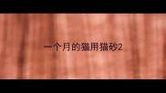 一个月的猫用猫砂