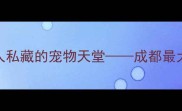 成都必逛本地人私藏的宠物天堂成都最大宠物市场全攻略